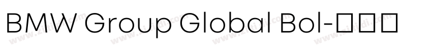 BMW Group Global Bol字体转换